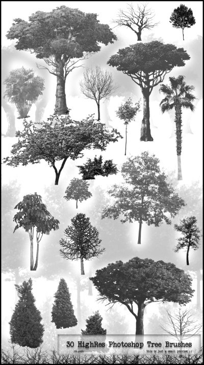 скачать Деревья - Кисти для фотошопа бесплатно или скачать фотошоп фильтр шаблон кисти шрифт