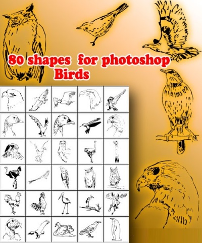 скачать 80 кистей для Фотошоп - Птицы бесплатно или скачать фотошоп фильтр шаблон кисти шрифт