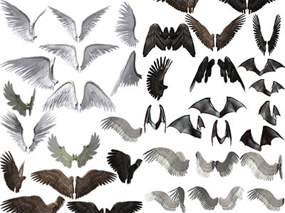 Шаблоны для Фотошопа - Коллекция крыльев