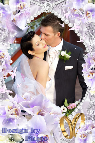 скачать Свадебная рамка - Нежные фиолетовые орхидеи бесплатно или скачать фотошоп фильтр шаблон кисти шрифт