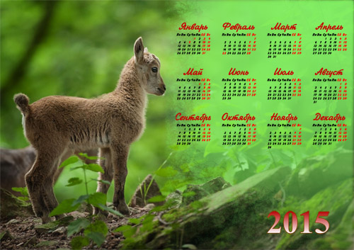 скачать Календарь на 2015 год - Крошечный козленок бесплатно или скачать фотошоп фильтр шаблон кисти шрифт