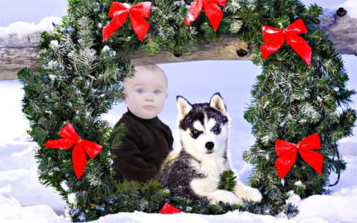 скачать Шаблон для мальчиков - Малыш и щенок хаски под новогодним венком бесплатно или скачать фотошоп фильтр шаблон кисти шрифт