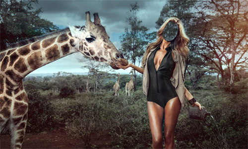 скачать шаблоны для фотошоп, шаблоны фотошоп, бесплатные шаблоны для фотошоп