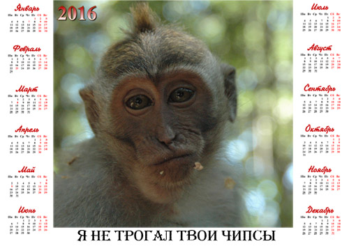 Календарь - Веселая обезьяна