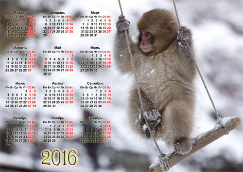 скачать Календарная сетка - 2016 год обезьяны бесплатно или скачать фотошоп фильтр шаблон кисти шрифт